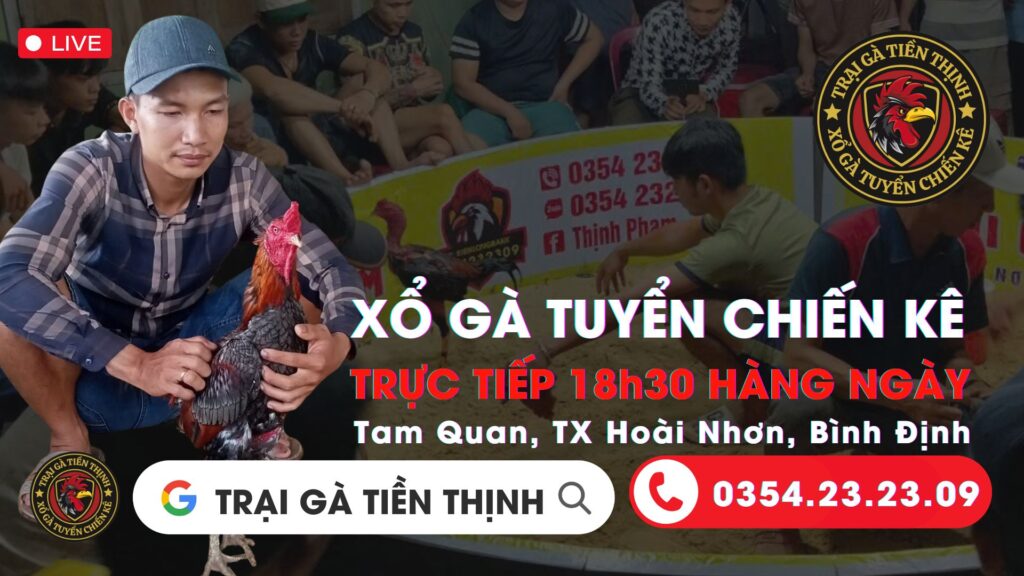 Video 21:41 ngày 30/8 – Trại Gà Tiền Thịnh