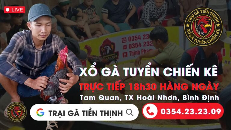 Video 21:41 ngày 30/8 – Trại Gà Tiền Thịnh